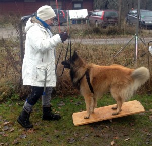 Aktiveringskurs